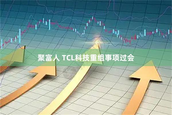 聚富人 TCL科技重组事项过会