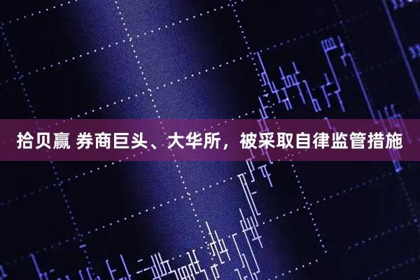 拾贝赢 券商巨头、大华所，被采取自律监管措施