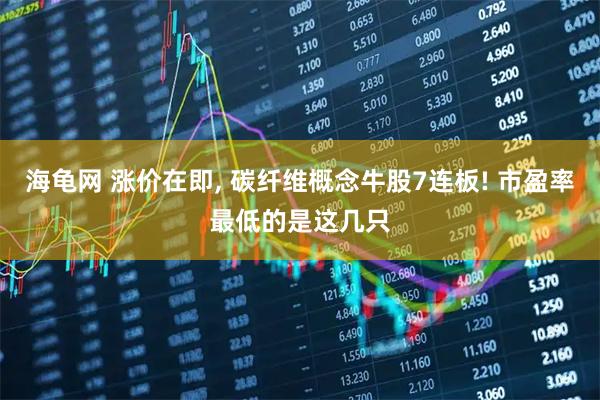 海龟网 涨价在即, 碳纤维概念牛股7连板! 市盈率最低的是这几只
