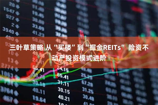 三叶草策略 从“买楼”到“掘金REITs” 险资不动产投资模式进阶