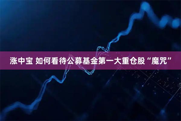 涨中宝 如何看待公募基金第一大重仓股“魔咒”