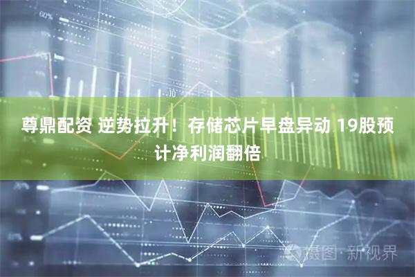 尊鼎配资 逆势拉升！存储芯片早盘异动 19股预计净利润翻倍