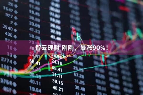 智云理财 刚刚，暴涨90%！